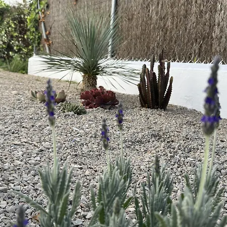 Jardines De Zahora C03 * Cádis