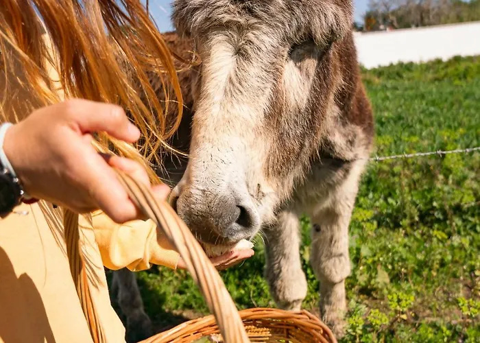 Jardines De Zahora C03 Будинок відпочинку Кадіс